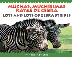 Lots and Lots of Zebra Stripes
