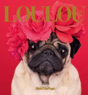 Loulou the Pug