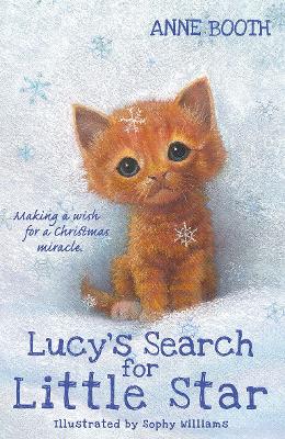 Lucy's Search for Little Star - Booth, Anne