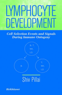 Lymphocyte Development
