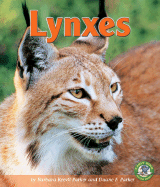 Lynxes