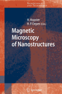 Magnetic Microscopy of Nanostructures