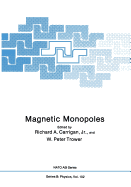 Magnetic Monopoles