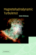 Magnetohydrodynamic Turbulence