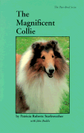 Magnificent Collie