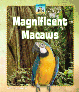 Magnificent Macaws