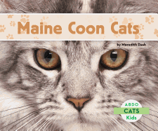 Maine Coon Cats