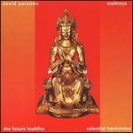 Maitreya: The Future Buddha