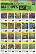 Maldives Marine Life Field Guide: "Top 200+"