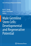 Male Germline Stem Cells: Developmental and Regenerative Potential