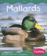Mallards