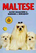 Maltese