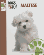 Maltese