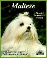 Maltese