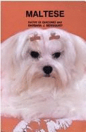Maltese