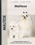 Maltese