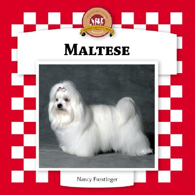 Maltese - Furstinger, Nancy
