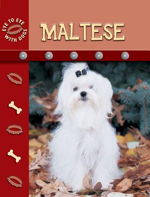Maltese - Stone, Lynn