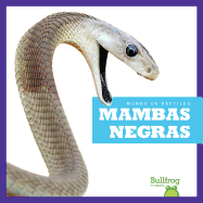 Mambas Negras (Black Mambas)