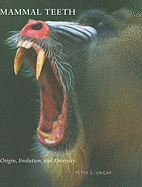 Mammal Teeth: Origin, Evolution, and Diversity