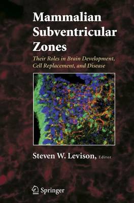 Mammalian Subventricular Zones: Their Roles in Brain Development, Cell Replacement, and Disease - Levison, Steve (Editor)