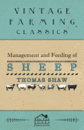 Management and Feeding of Sheep