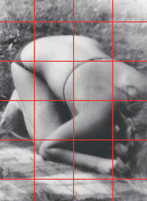 Mandy El-Sayegh: Superimposition - El-Sayegh, Mandy (Artist), and Longstaff, Gareth (Text by), and Pigott, Anna (Editor)