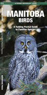 Manitoba Birds: An Introduction to Familiar Species