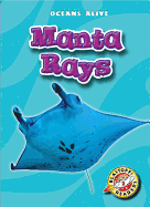 Manta Rays