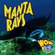 Manta Rays