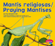 Mantis Religiosa/Praying Mantises