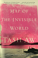 Map of the Invisible World