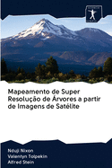 Mapeamento de Super Resolu??o de ?rvores a partir de Imagens de Sat?lite