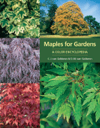 Maples for Gardens: A Color Encyclopedia
