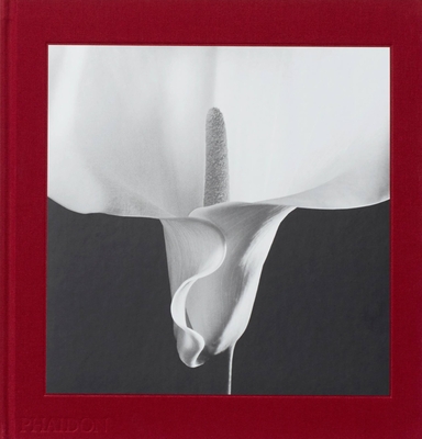 Mapplethorpe Flora: The Complete Flowers - Holborn, Mark (Editor), and Levas, Dimitri (Designer)