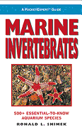 Marine Invertebrates: 500+ Essential-To-Know Aquarium Species