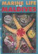 Marine Life of the Maldives