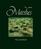 Marshes: The Disappearing Edens