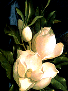 Martin Johnson Heade