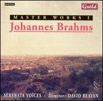 Masterworks, Vol. 1: Johannes Brahms