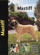 Mastiff