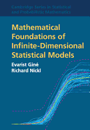Mathematical Foundations of Infinite-Dimensional Statistical Models