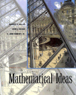 Mathematical Ideas