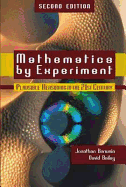Mathematics by Experiment: Plausible Reasoning in the 21st Century