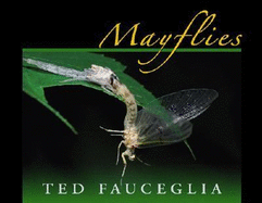 Mayflies