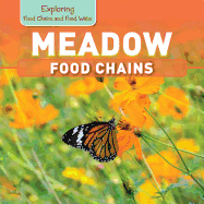 Meadow Food Chains