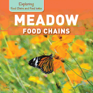 Meadow Food Chains