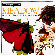Meadow