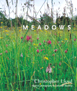 Meadows