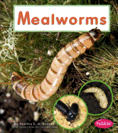 Mealworms